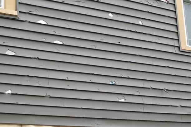 Affordable siding repair and maintenance services in Milford, NE